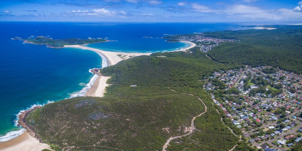 Liver resection on the Mid North Coast